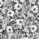 Cricut Infusible Ink Transfer Sheets 2-pack (Black Botanicals)